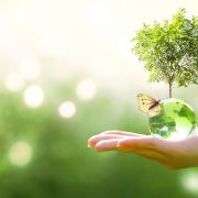 sustainability_green